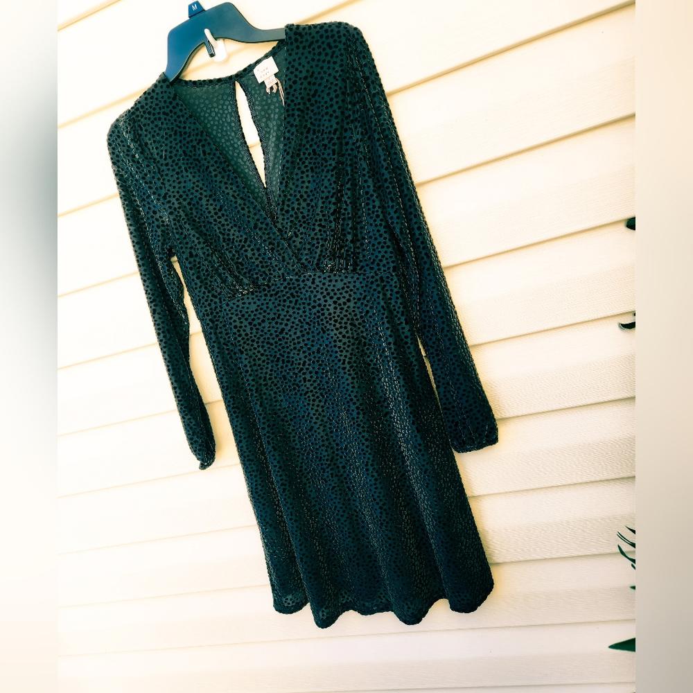 Velour dark green long sleeve flocked dress