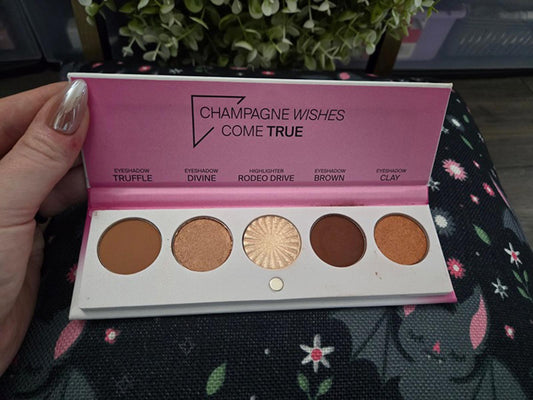 Ofra signature pallete lux champagne makeup